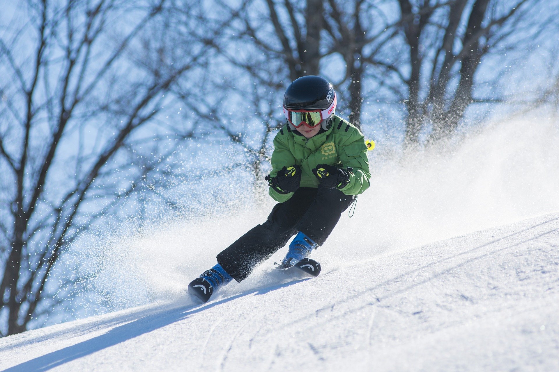 Ski de piste, ski alpin