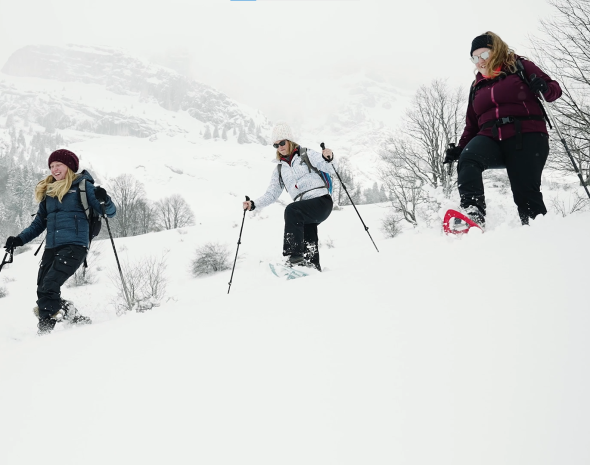 Activités d’hiver