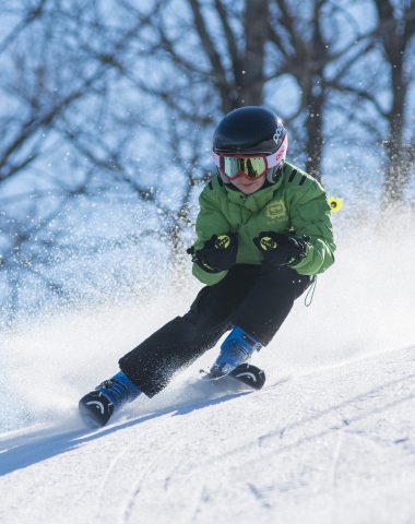 Ski de piste, ski alpin